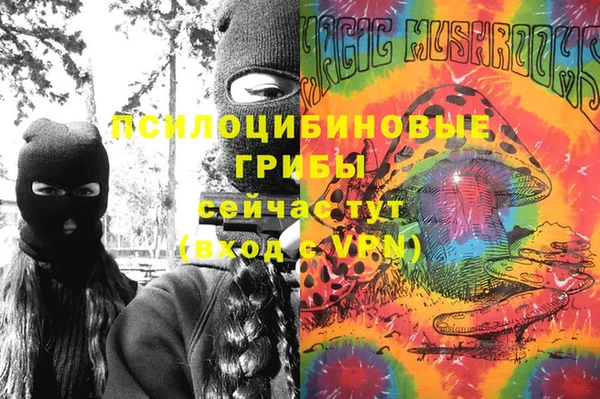 мяу мяу мука Алзамай