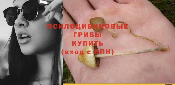 мяу мяу мука Алзамай